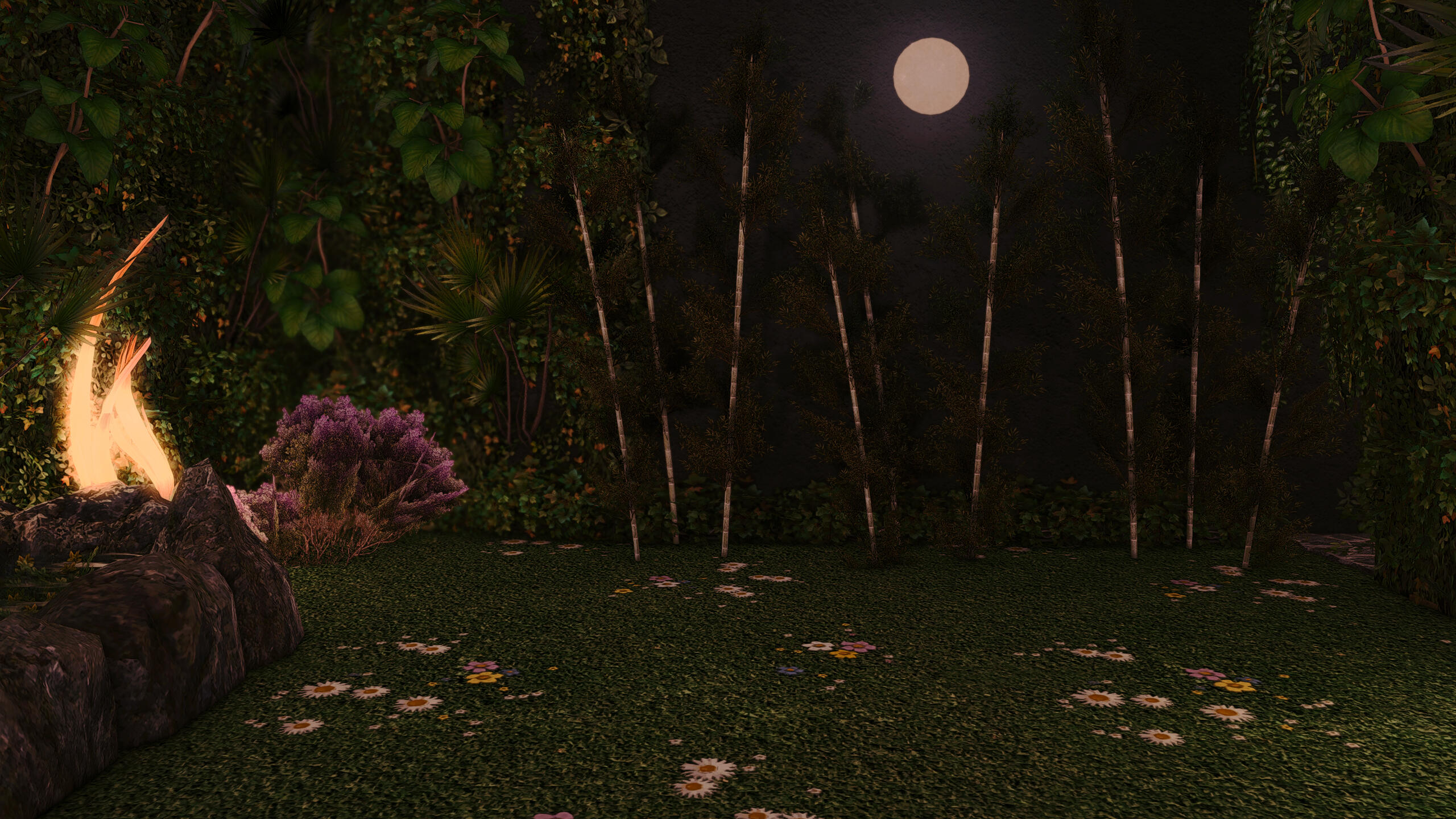 Immersive Night Forest